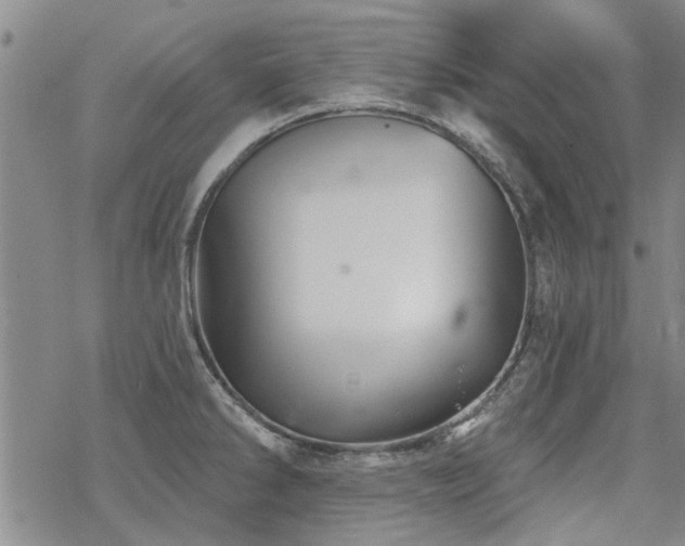 X0000068821286200605051201