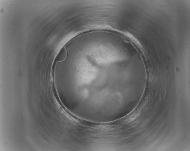 X0000068821287200605051201