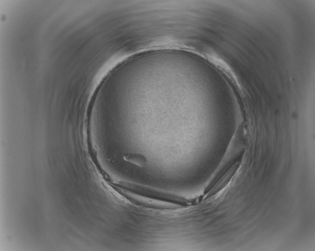 X0000068821288200605051201