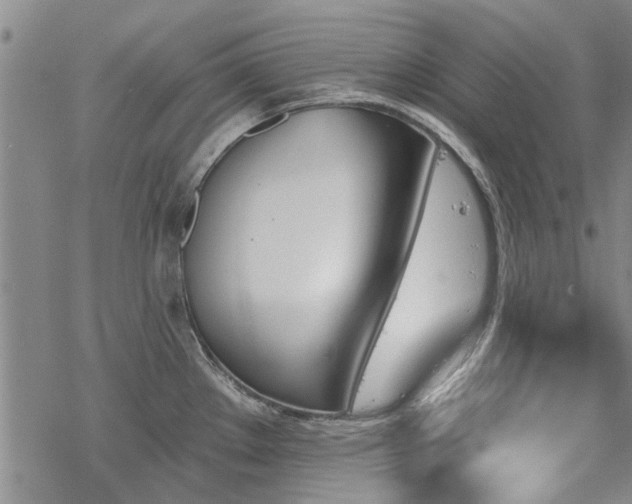 X0000068821289200605051201