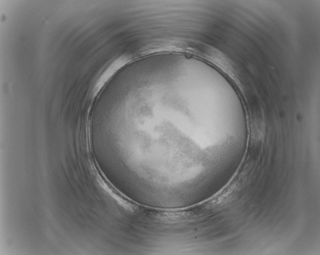 X0000068821290200605051201