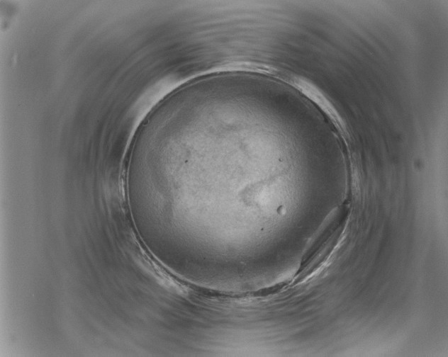 X0000068821292200605051201