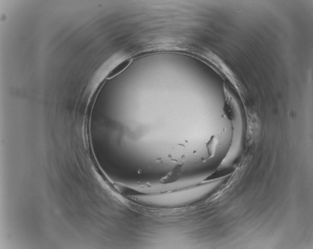 X0000068821293200605051201