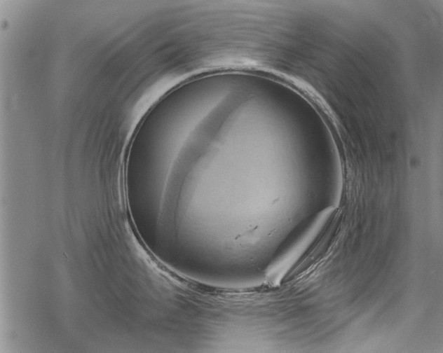 X0000068821295200605051201