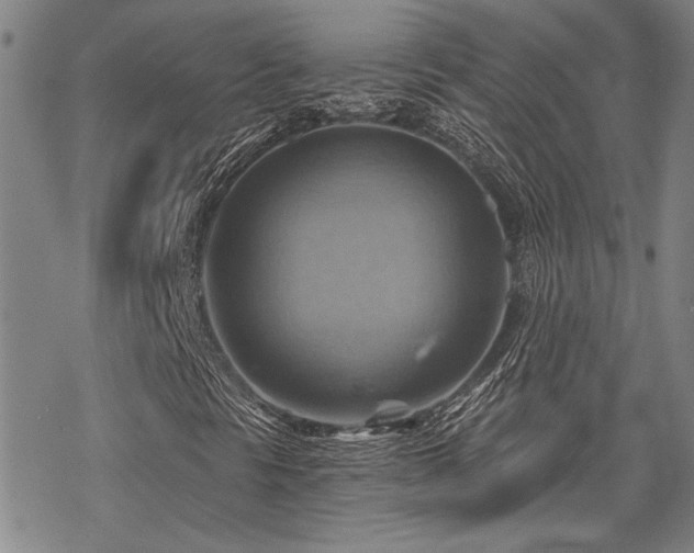 X0000068821297200605051200