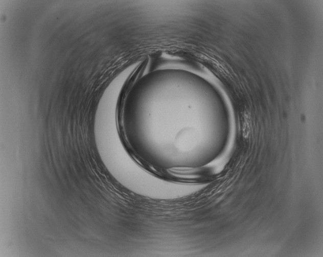 X0000068821298200605051200