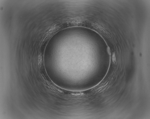 X0000068821299200605051200