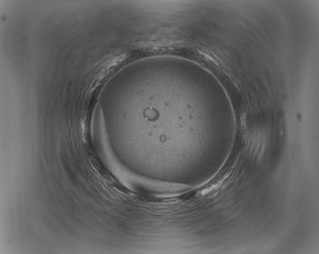 X0000068821300200605051200