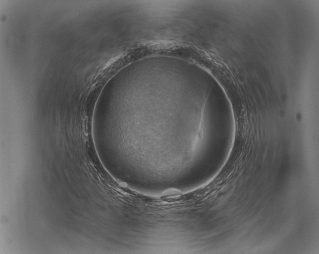 X0000068821301200605051200