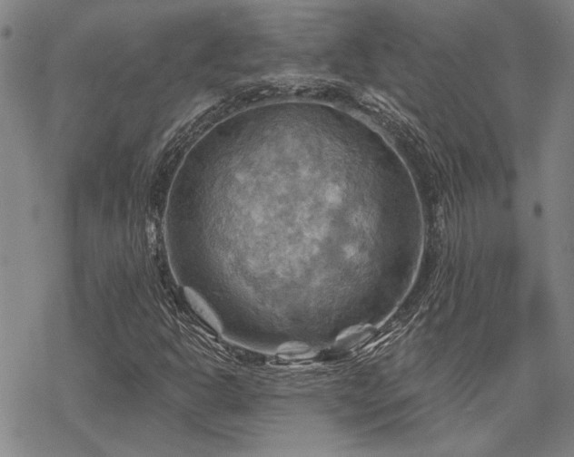 X0000068821302200605051200