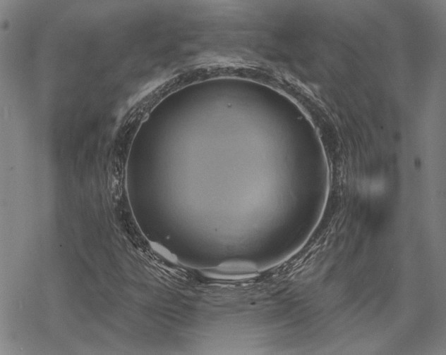 X0000068821303200605051200