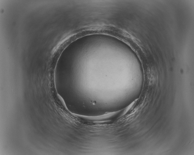 X0000068821304200605051200