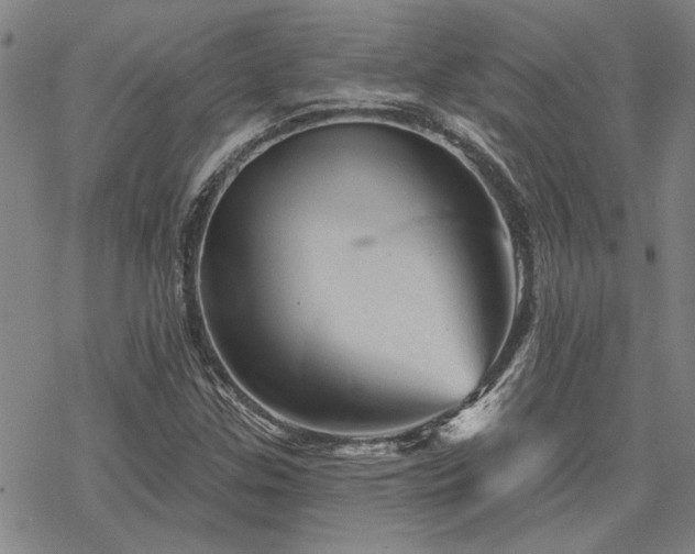 X0000068821307200605051200