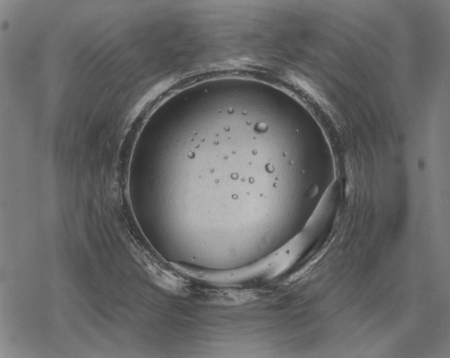 X0000068821308200605051200