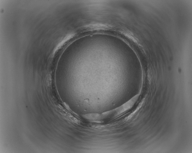 X0000068821309200605051200