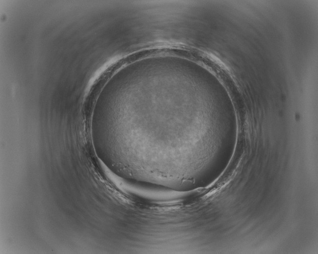 X0000068821310200605051200