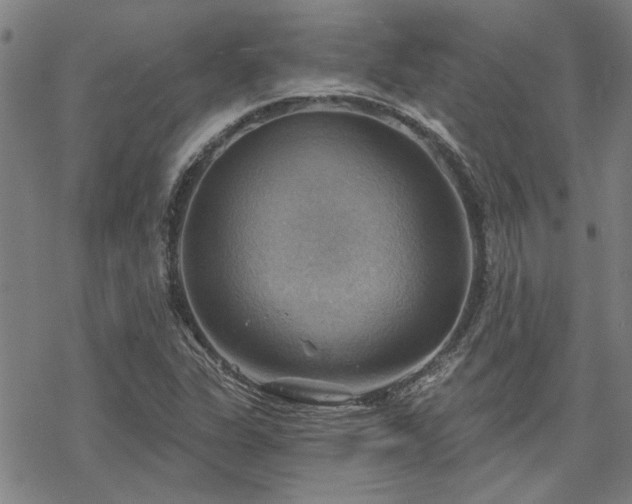 X0000068821311200605051200