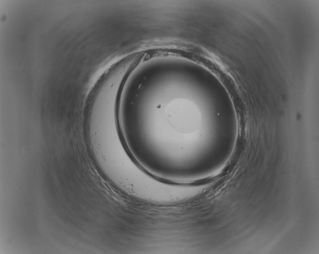 X0000068821312200605051200