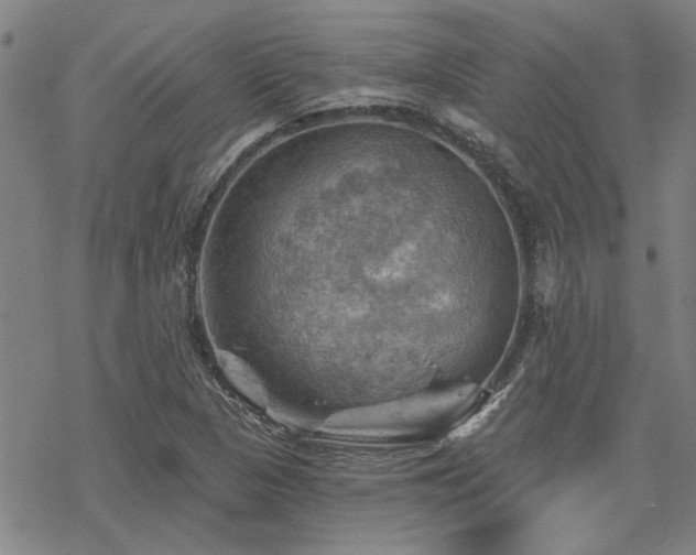 X0000068821313200605051200