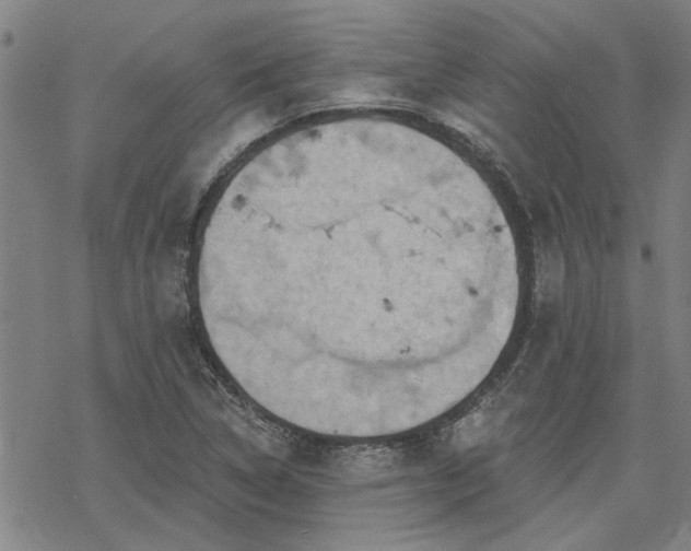 X0000068821314200605051200