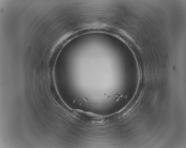 X0000068821315200605051200