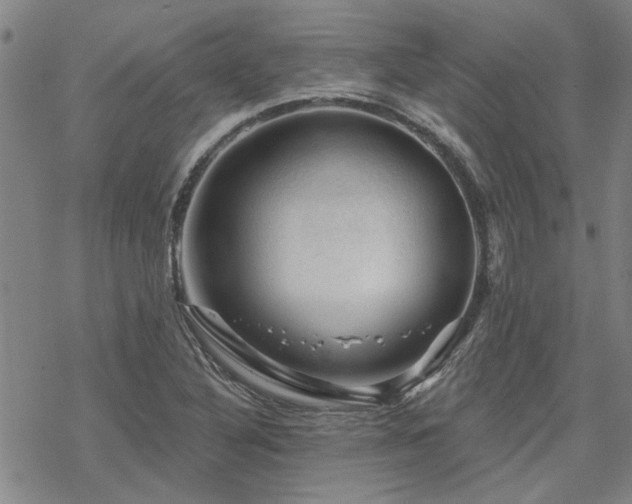 X0000068821316200605051200