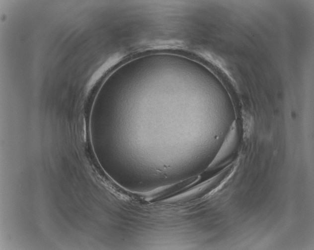 X0000068821317200605051200