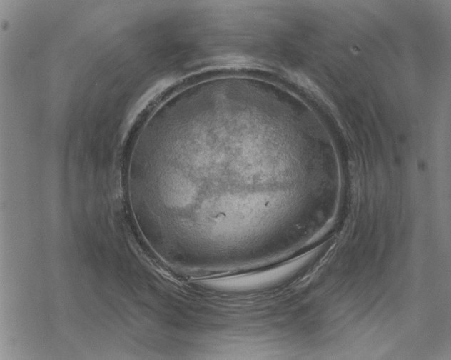 X0000068821318200605051200