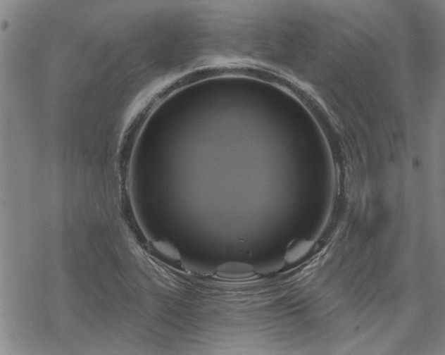 X0000068821319200605051200