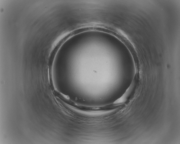 X0000068821320200605051200