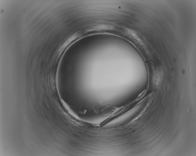 X0000068821321200605051200