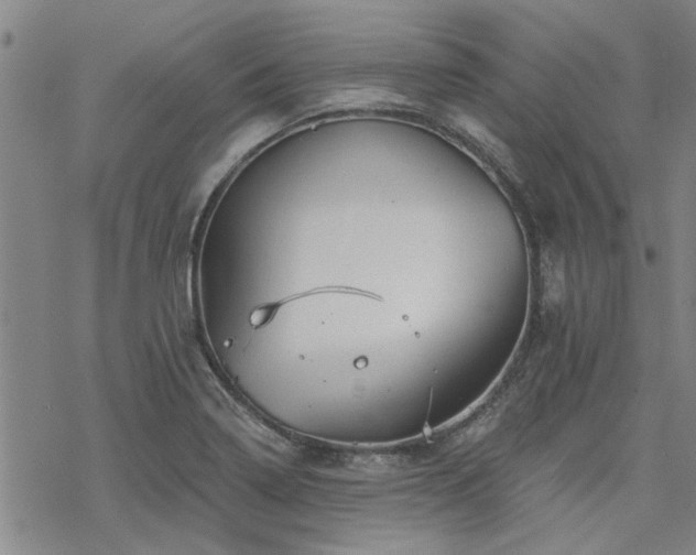 X0000068821322200605051200