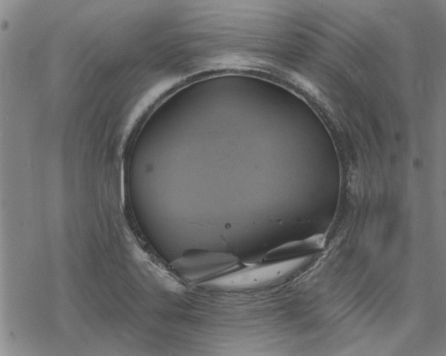 X0000068821323200605051200