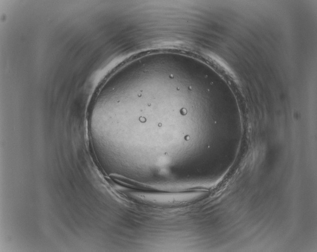 X0000068821324200605051200