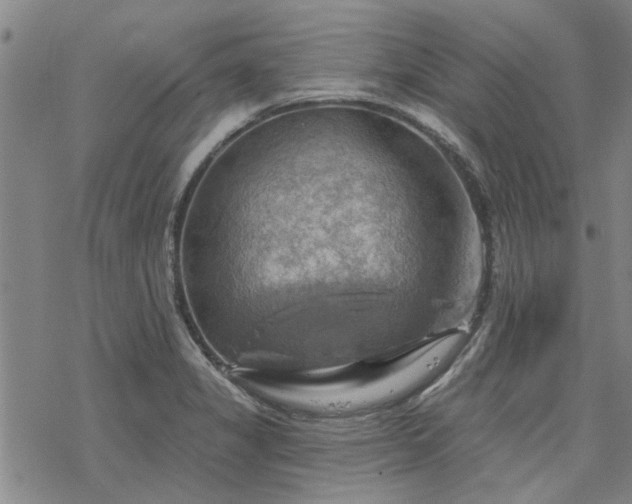 X0000068821325200605051200