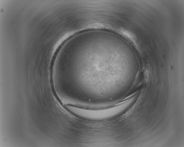 X0000068821326200605051200