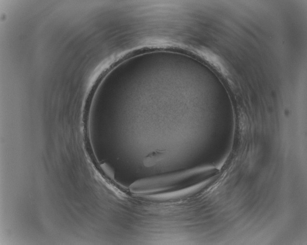 X0000068821327200605051200