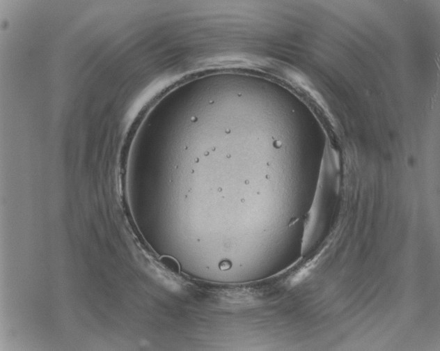 X0000068821328200605051200