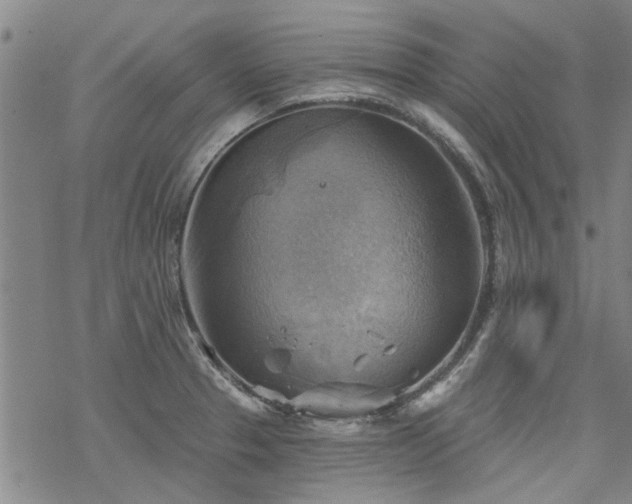 X0000068821329200605051200