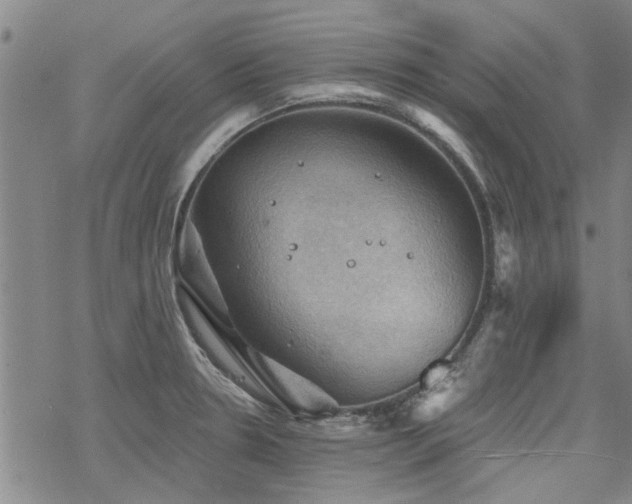 X0000068821330200605051200