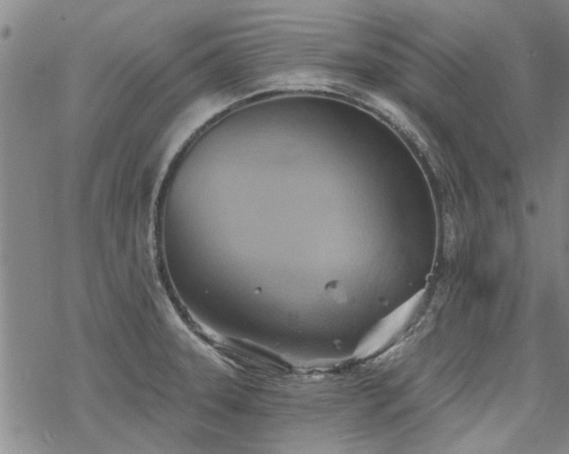 X0000068821331200605051200