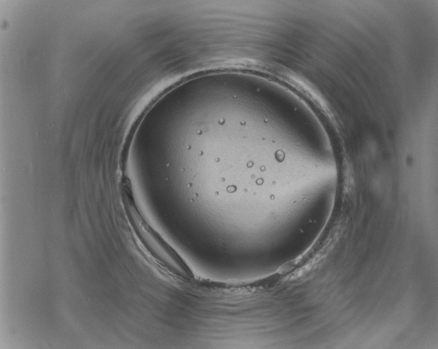 X0000068821332200605051200