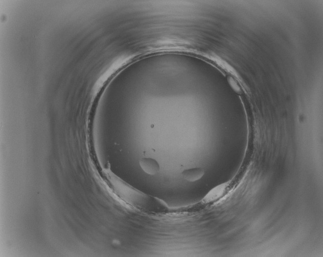 X0000068821333200605051201