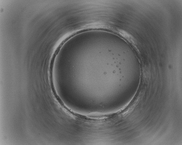 X0000068821334200605051201