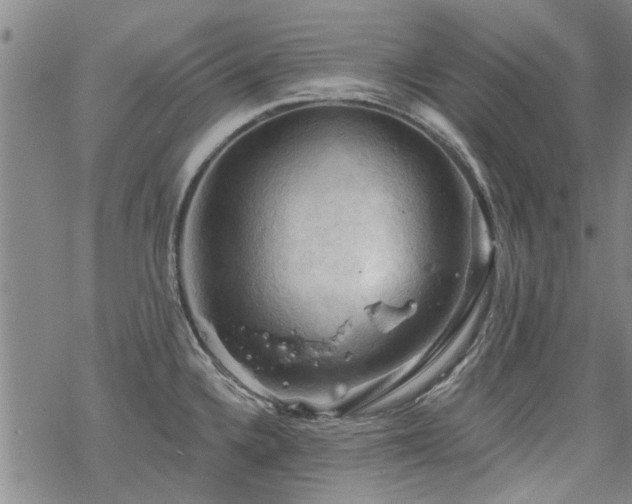 X0000068821336200605051201