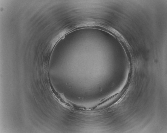 X0000068821337200605051201