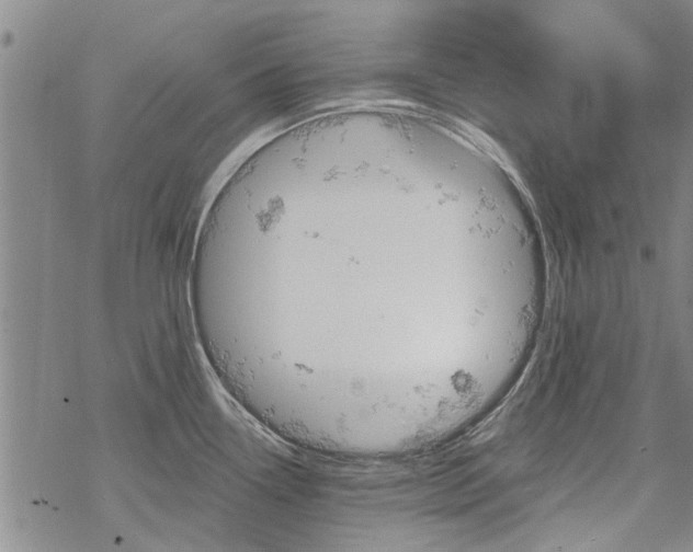 X0000068821338200605051201