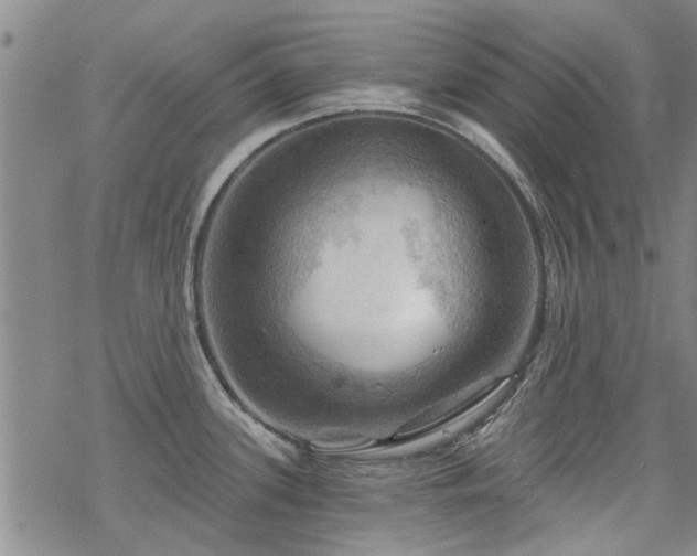 X0000068821339200605051201