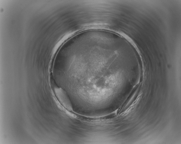 X0000068821341200605051201