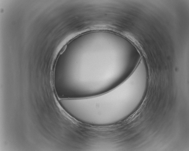 X0000068821342200605051201